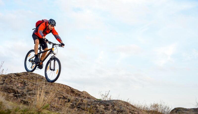 shutterstock_524201185